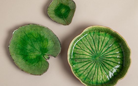 Waterlilies