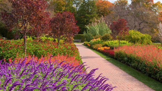 a view of flowers along a brick path with purple and red blooms and trees in the background