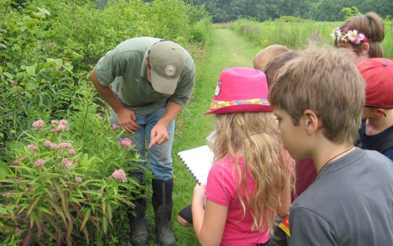 A group of summer camp students watching a gardener near a bed of pink flowers.