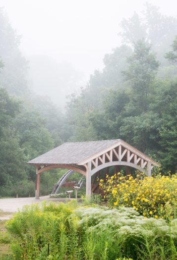 A large wooden pavilion sits in front of a green forest surrounded by morning mist