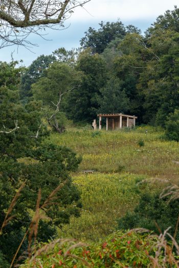 A small wooden pavilion sits on the edge of a treeline in the distance of a green meadow