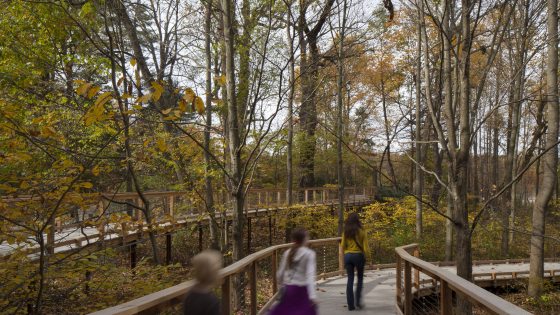 three kids running on a boardwalk in a meadow