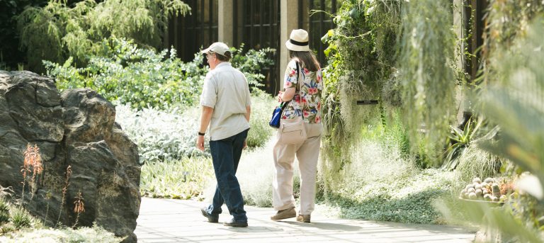 two people walking in indoor garden