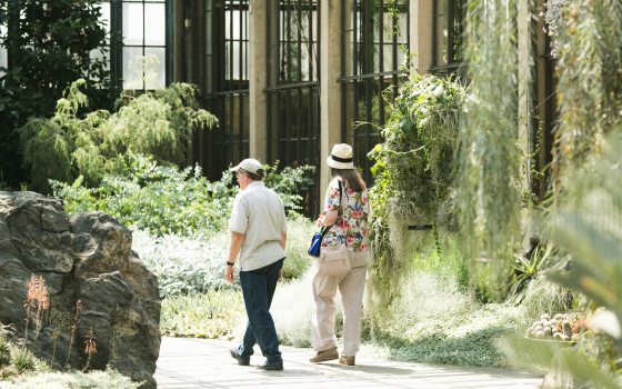 two people walking in indoor garden