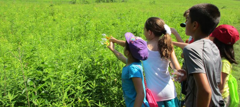 A group of students pointing and overlooking a meadow.