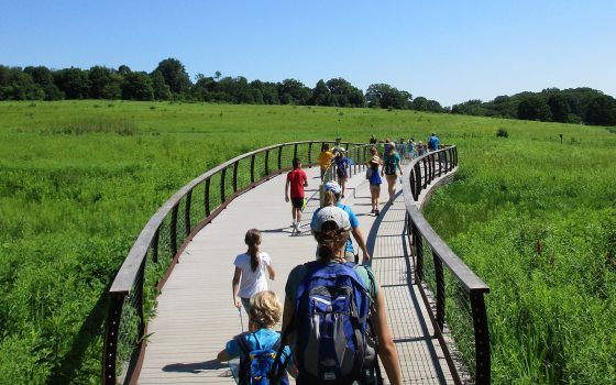 Adults and children walk away from the camera along a curved bridge through a meadow, toward the treeline in the distance.