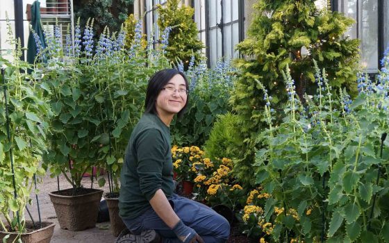 an adult looks at the camera in the Conservatory while changing out plants