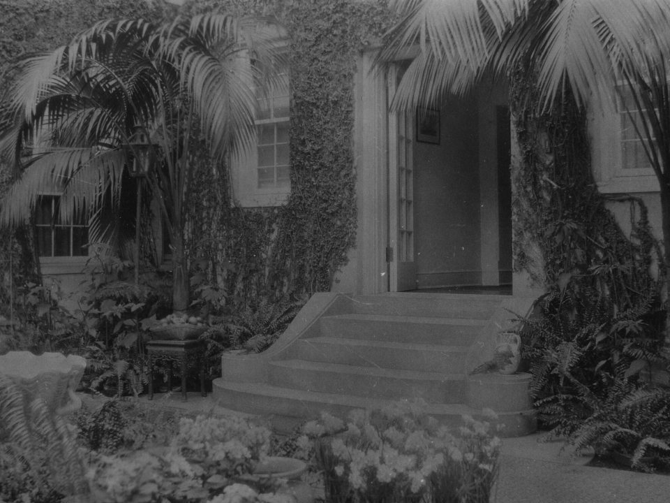A black and white image of a small staircase surrounded by plants inside the Pierce du Pont house at Longwood Gardens.