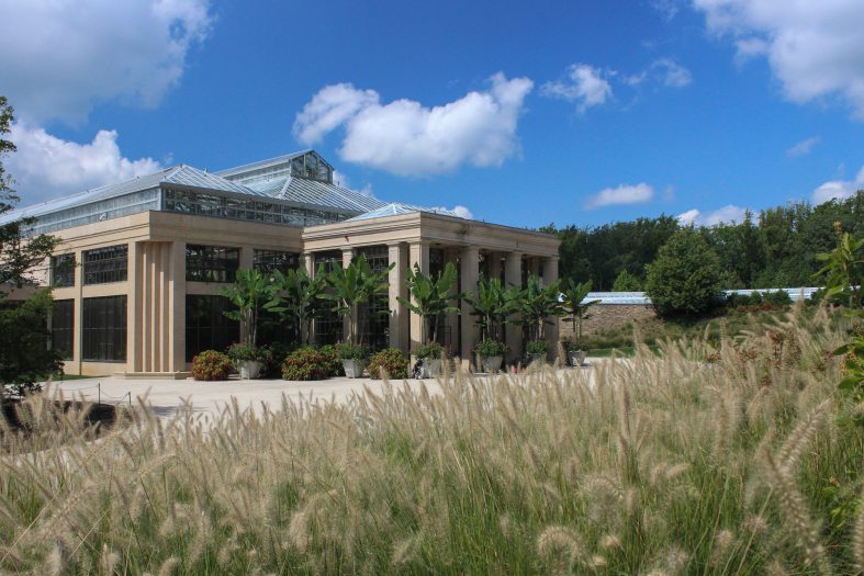 a glass and concrete conservatory is seen behind a small field of tan fuzzy plants