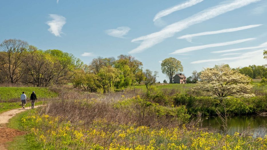 a meadow in fall colors with two people walking on the pathway 