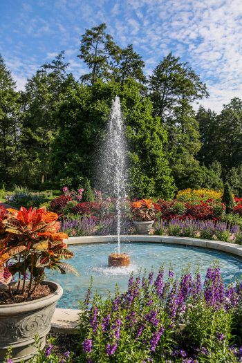 round fountain with flowers surrounding it and trees in background