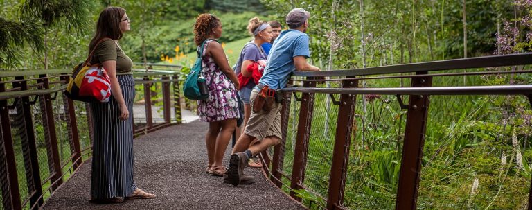 people standing on a wood boardwalk in a forest