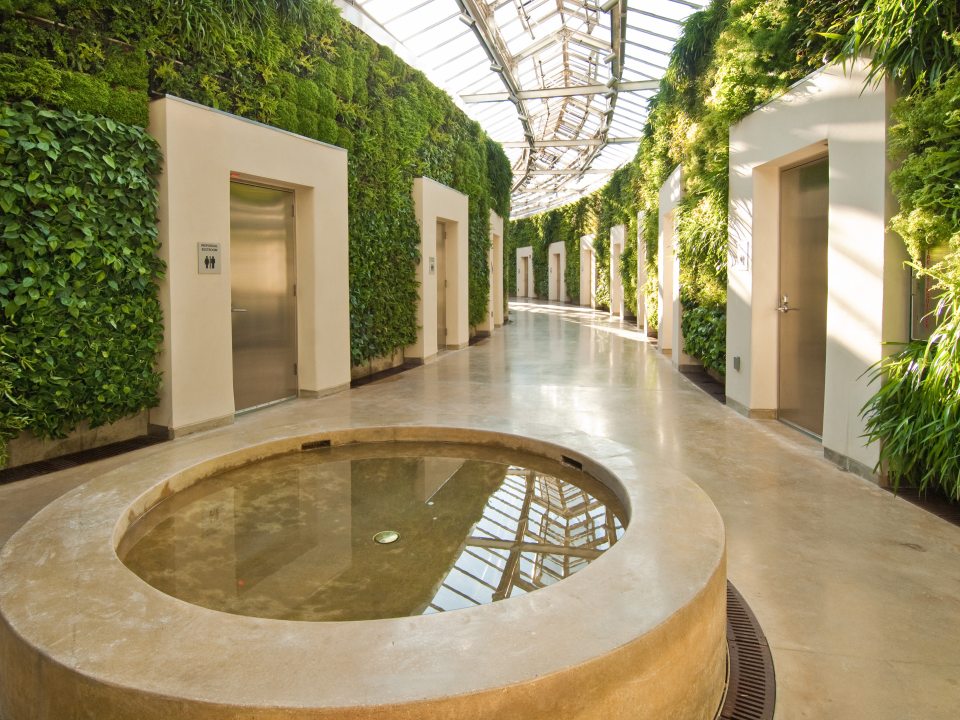 a round fountain surrounded by walls with thick, green vegetation 