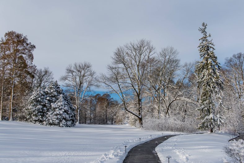 A cleared path shows the way through an open snow-covered landscape with trees in the distance