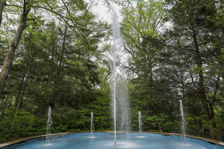 A pool with four small fountains and one central large fountain sits among a small forest of green trees