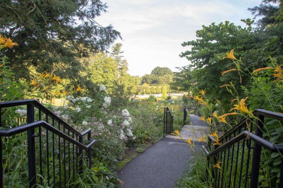 the Hillside Garden pathway in the early morning at Longwood Gardens