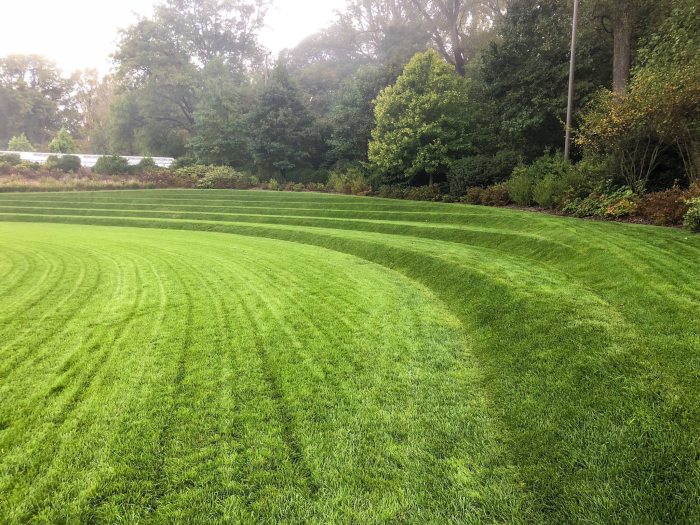 Sun shines over levels of freshly cut green grass with woods standing behind