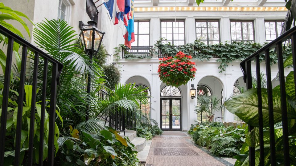 A hanging basket is seen in the distance in a small house conservatory with green plants, metal railings, and a lamppost