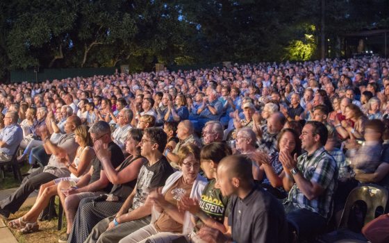 a crowd of people clapping and laughing  
