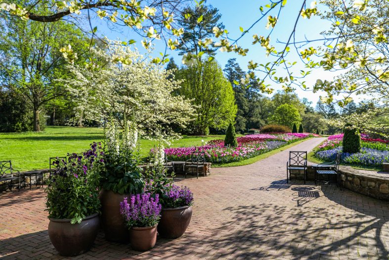 a brick patio filled with containers of flowering plants and trees leads you into a long walkway bursting with colorful flowers