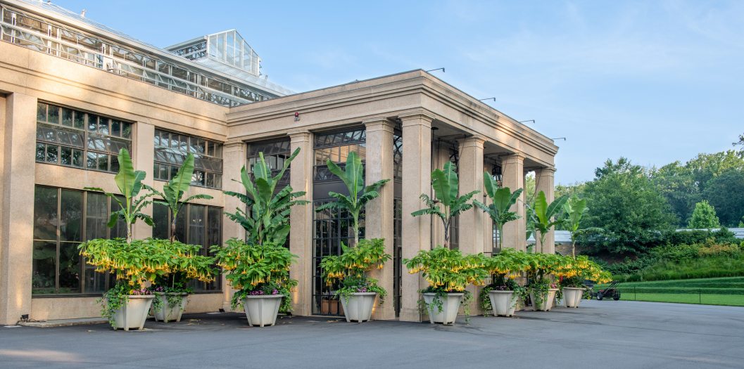 exterior view of the east conservatory buliding 
