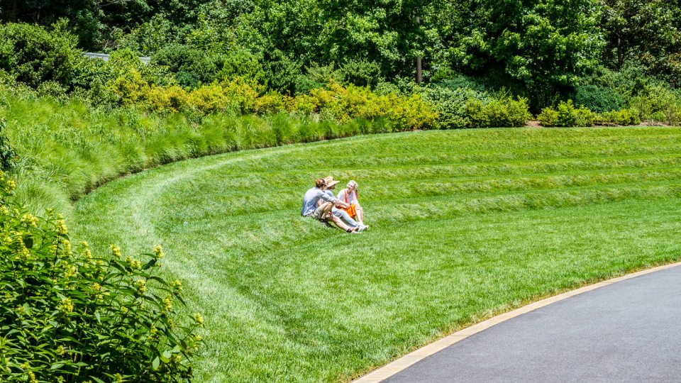 Two people sit along levels of freshly cut grass in the summer with green tress behind