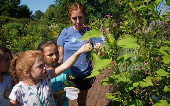 Two small children pointing at a plant in a garden.