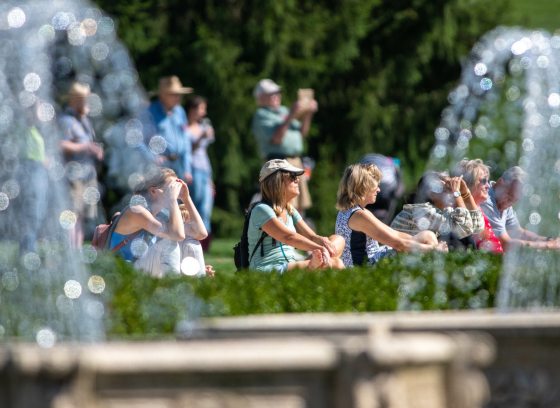 a group of people sitting on a bright green lawn behind a spray if water coming from two fountains 