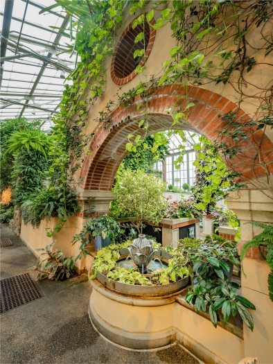 Sun shines through a tan stone arch covered in green vines above a small fountain