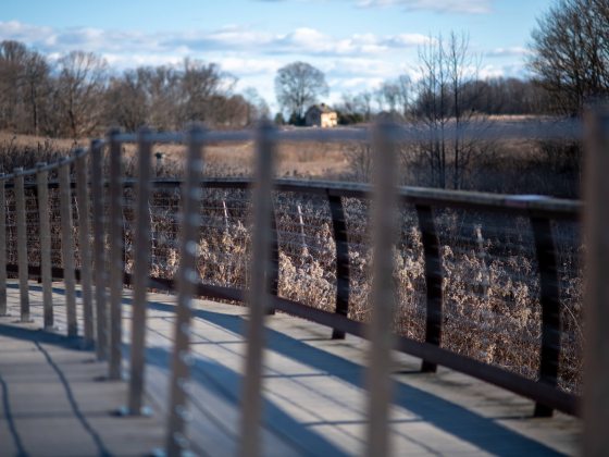 closeup of a wooden walkway with meadow and farmhouse in background