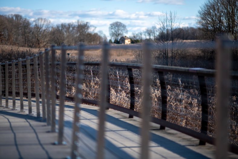 closeup of a wooden walkway with meadow and farmhouse in background