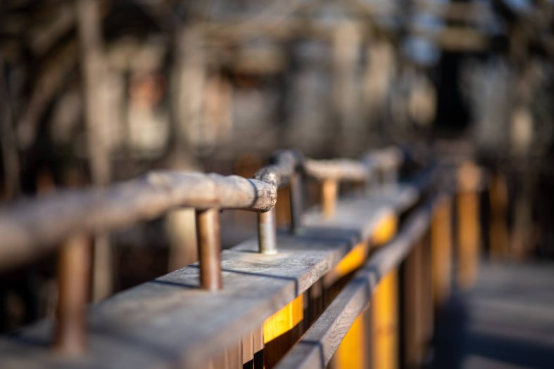 closeup of wooden walkway and railing