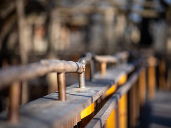 closeup of wooden walkway and railing