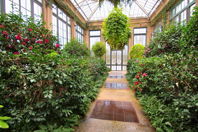 A concrete pathway is lined with green plants while large green ferns in hanging baskets hang from a glass 