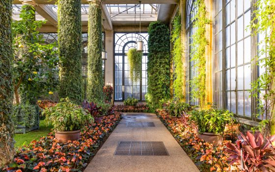 A stone walkway leads between two garden beds of red and green plants with a green hanging backset and curved window in the distance, all under a glass conservatory