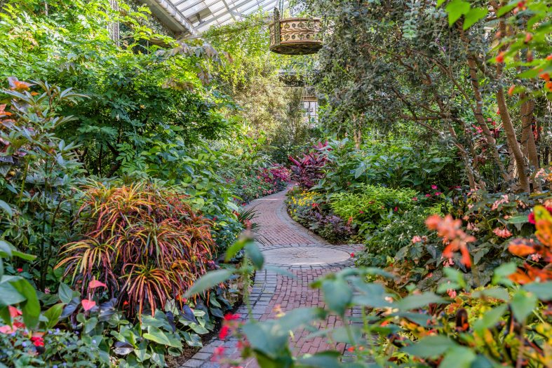 Luscious green and multi-color plants line a long brick pathway with decorative lamps hanging above
