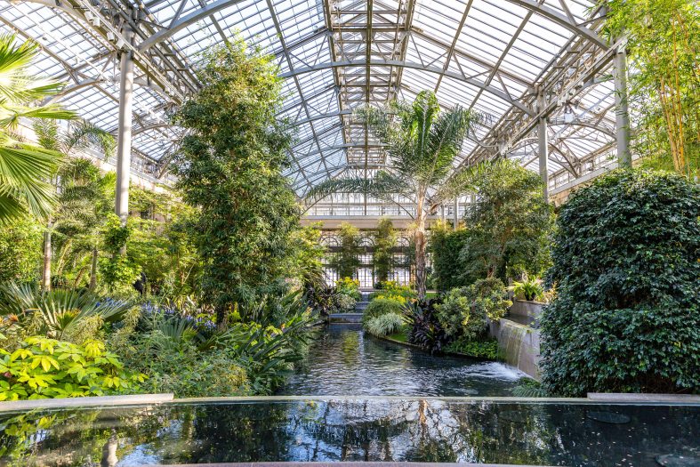 Green plants ranging from tall palms to lower bushes surround an indoor water feature under a glass conservatory