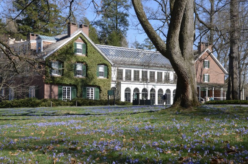 A brick house partially covered in ivy sits on a wide lawn in spring time