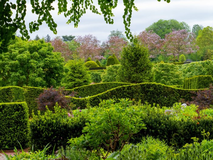 A sea of green plants, shrubs, hedges, and trees