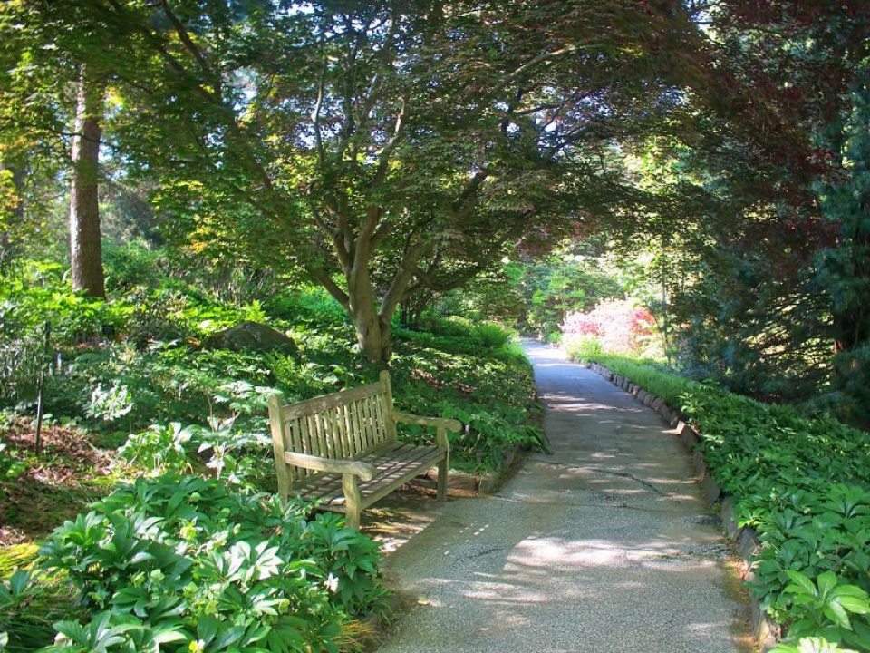 outdoor garden walkway path with bench at Longwood Gardens