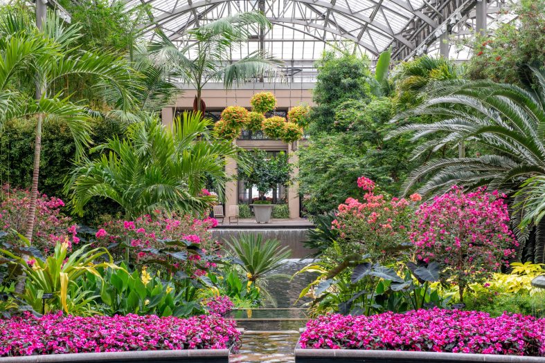 Pink and yellow plants line an indoor water feature surrounded by tall green palms with yellow hanging baskets in the difference