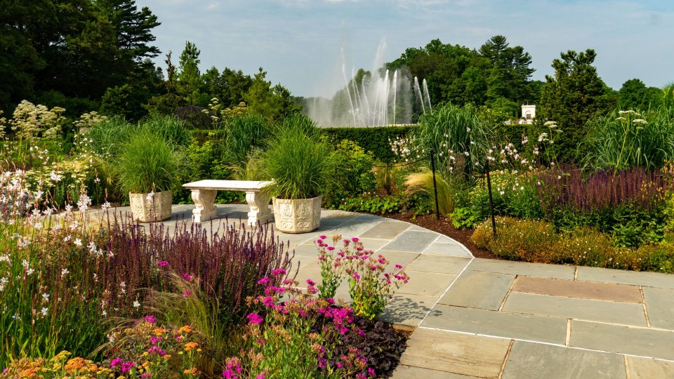 A stone walkway leades to a small bench among garden beds of yellow, pink, and green plants with large water fountain streams seen in the background