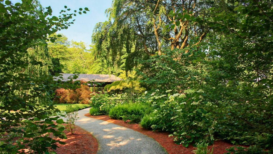 A path winds through a walkway of green trees and bushes