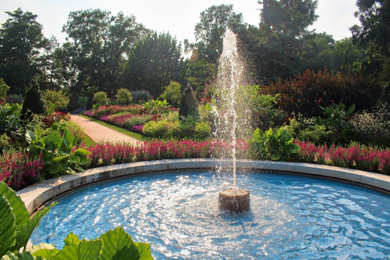Sun shines on a circular fountain with a brick pathway in the background leading through green garden beds