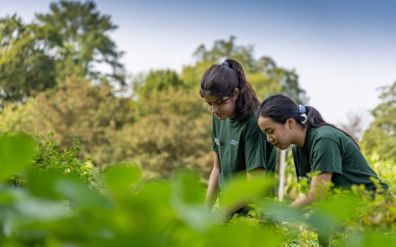 Two people in green shirts working in a garden bed.