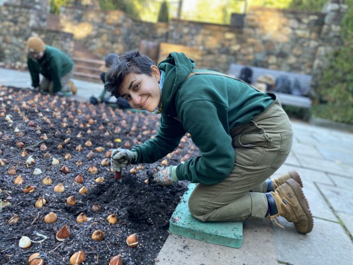 Bulb Planting 