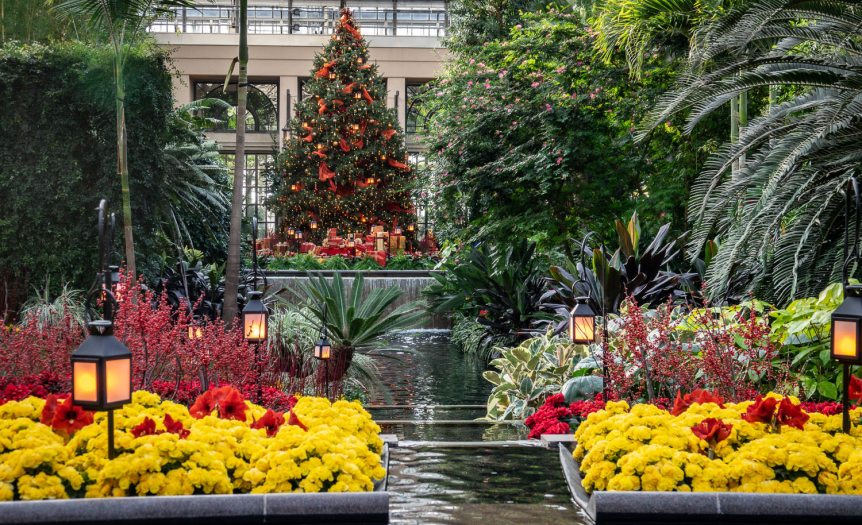 A Christmas tree of red lights is seen over a small water feature lined with red and yellow plants in a glass conservatory