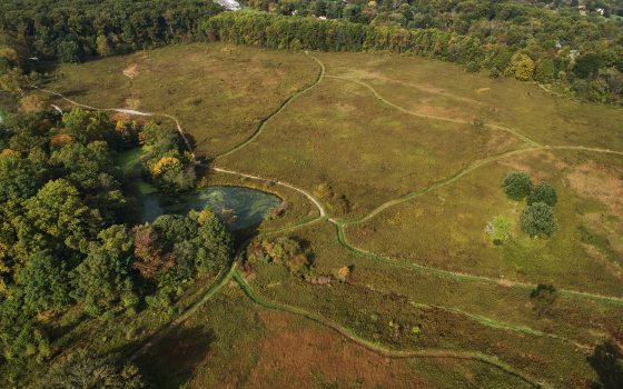 Aerial view of large gold meadow garden with forest areas surrounding it