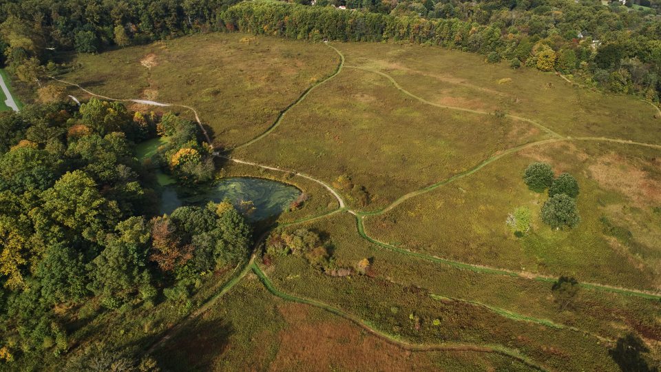 Aerial view of large gold meadow garden with forest areas surrounding it