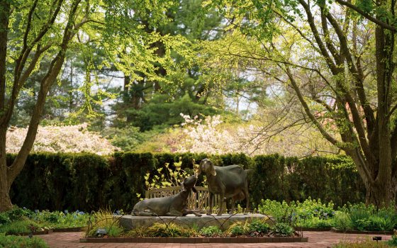 Two bronze goat statues placed in a garden setting.